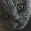 maxhanks - @max.hanks - TikTok