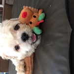 Max Hansen - @maxhansen3703 - Instagram