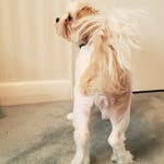 Max Harden - @got_u_hooked - Instagram