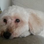 max harding - @mharding6262 - Instagram