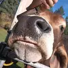Max Harding - @max.max.42 - TikTok