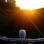 Max Harland - @max.harland.946 - Instagram