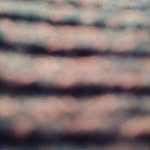 Max der Hase - @maxhase456 - Instagram
