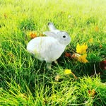 Max Hase - @max_hase_ - Instagram