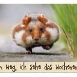 Max_hase - @max_hase5582 - Instagram