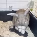 MAX - @max.hase85 - Instagram