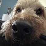 Max Haskins - @max.haskins12 - Instagram