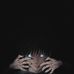 Max Hassan - Facebook