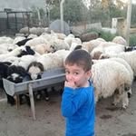 Max Hassan - @max.hassan.509 - Instagram