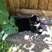 Maxine Hatton - Facebook