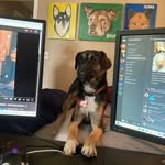 Maxwell hatton - @maxwell.hatton - Instagram