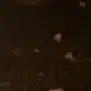Max Hauck - @maxhauck2.0 - TikTok