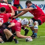 Max Hayman - @mh2rugby - Instagram