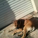 @maxhayman_ - Instagram