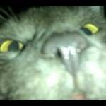 biff - @maxhazen - Instagram