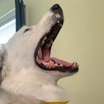 Max  Hazen - @max_ghazen - Instagram