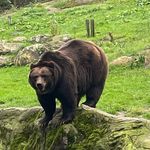 Max Hecht - @max_hecht_ - Instagram