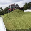 maxhecht915 - @maxhecht915 - TikTok
