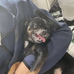 Max Heck - @sheluvs_maxy - Instagram