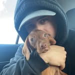 Max Heck - @maxheck2 - Instagram