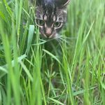 Max Heckmann - @heckmann2936 - Instagram