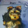 max.helton - @maxhelton - TikTok