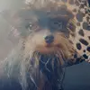 maxheltonnn - @maxheltonnn - TikTok