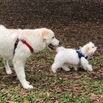 Jimi Hendrix & Max - @jimi.hendrix_max - Instagram