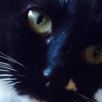 Max - @_max_henry_ - Instagram