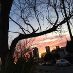 MaxHerrera - @_max_herrera_ - Instagram