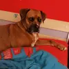 Maxi Eisheuer - @maxieisheuer - TikTok