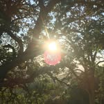 Maxhighland - @maxhighland4 - Instagram