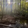 maxholliday_ - @maxholliday_ - TikTok