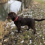 Max vom Idsinger Holz  - Facebook