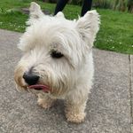 Max Hooper - @maxhooper09 - Instagram