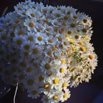 Max Hopper - @max.hopp3r - Instagram