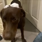 Max Horne - Facebook