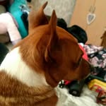max houston - @maxhoustonn - Instagram