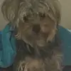 Max houston - @max.houston0 - TikTok