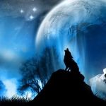 Max Howe - @maxhowe._.33 - Instagram