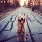 Max Hoyt - @maxiemanhoyt - Instagram