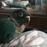 Max Hoyt - @maxthebird2021 - Instagram