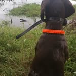 Max Hutson - @maxxfly27 - Instagram