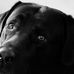 Max Hutson - Facebook