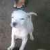 Maxi Ibarra - Facebook