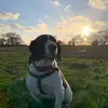 Max Risley - @maxrisley - TikTok