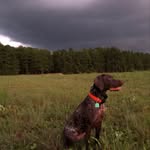@max_jacoby - Instagram