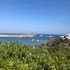Max Jonas - @max.jonas4 - TikTok