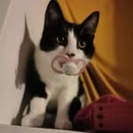 Max Jonasson - @maxjonasson - Instagram