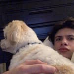 maxjorgensen - @maximumpower33 - Instagram